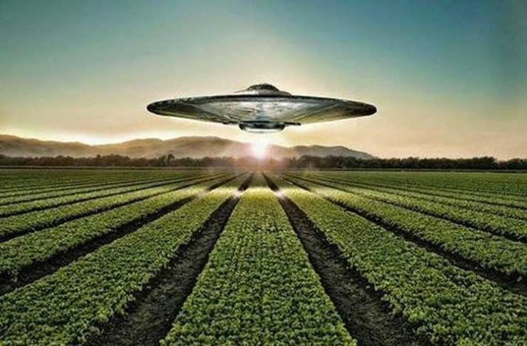 UFO Made Crop Circles 741x486 